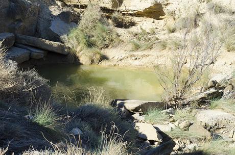 Las Bardenas Reales en furgo Las Bárdenas Reales