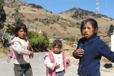 Niños sin patria 