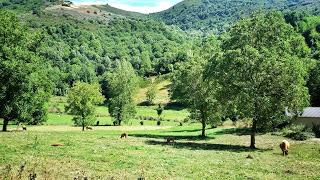 CAMINO DE SANTIAGO FRANCÉS. 1ª Parte.