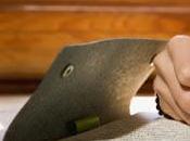 Errores frecuentes debes evitar escribir