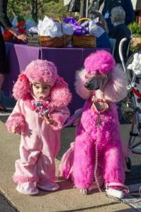 disfraces de carnaval originales para perros