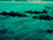 casa confines tierra" Hodgson ventana secreta