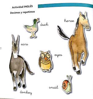 BOOLINO FRIENDS: EL CUENTO DE ESCUCHAR A LOS DEMÁS