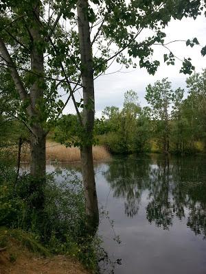 ¡QUE TE VOY A ECHAR DE MENOS MADRID...A RATOS!