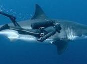 Primer Congreso Nacional Oceanología realiza Cumaná