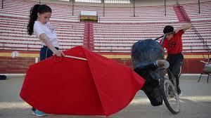 Matador de formación profesional