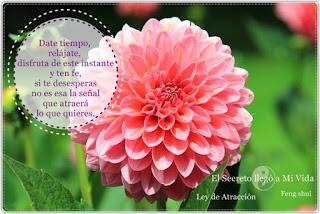 Date tiempo la vida no entiende de relojes