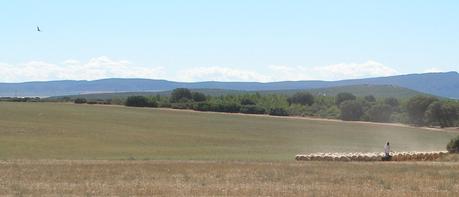 Acuarelas. Provincia de Albacete