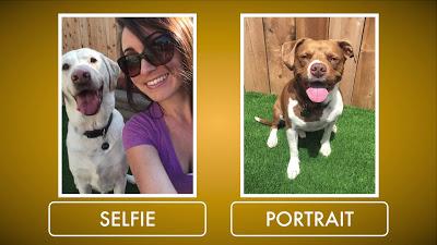 ¡Toma el mejor selfie con tu perro con un truco muy fácil!