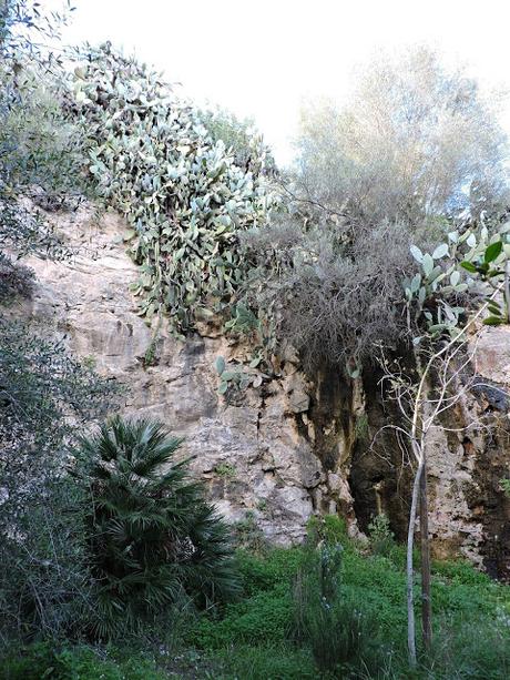 Panecillos Blaa Irlandeses y excursiones a la Montanyeta dels Sants