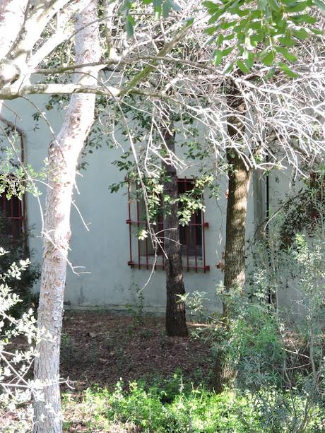 Panecillos Blaa Irlandeses y excursiones a la Montanyeta dels Sants