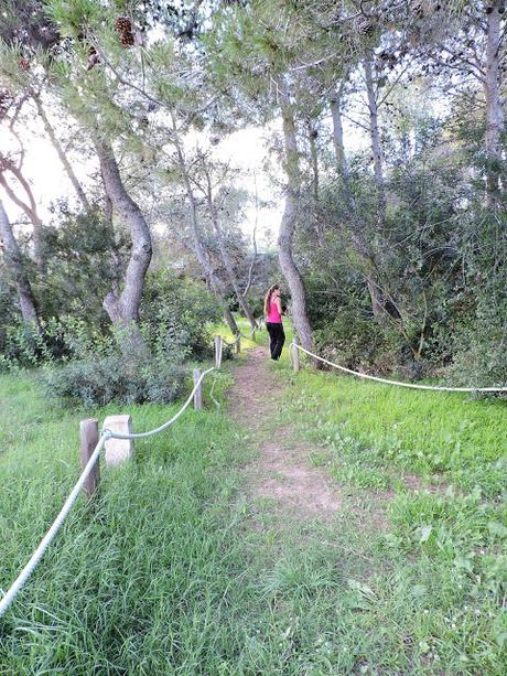 Panecillos Blaa Irlandeses y excursiones a la Montanyeta dels Sants