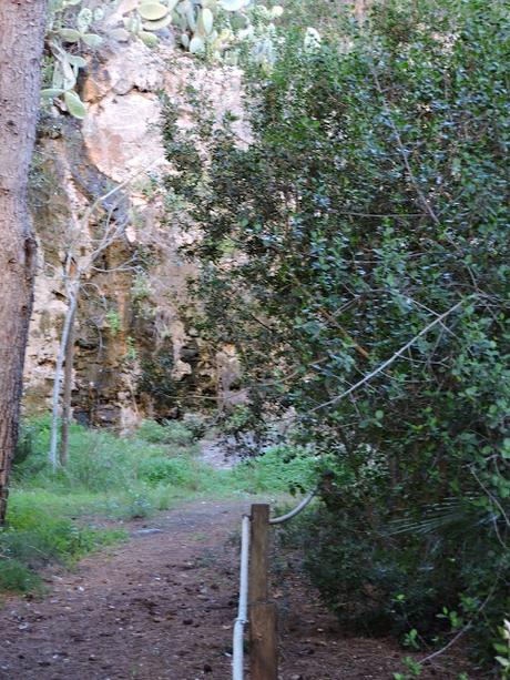 Panecillos Blaa Irlandeses y excursiones a la Montanyeta dels Sants