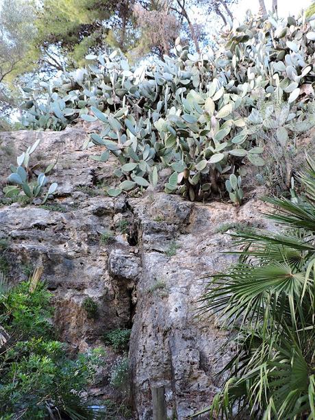 Panecillos Blaa Irlandeses y excursiones a la Montanyeta dels Sants