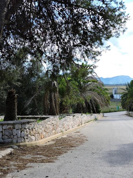 Panecillos Blaa Irlandeses y excursiones a la Montanyeta dels Sants