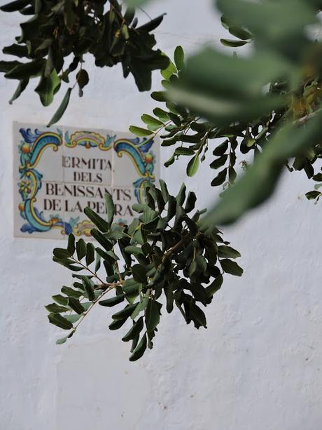 Panecillos Blaa Irlandeses y excursiones a la Montanyeta dels Sants