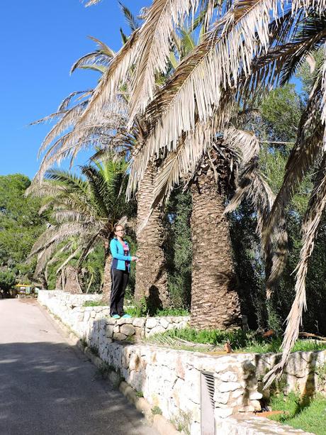 Panecillos Blaa Irlandeses y excursiones a la Montanyeta dels Sants