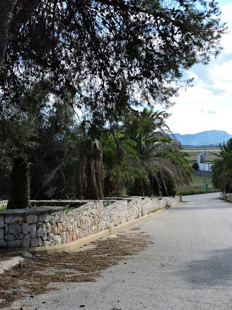 Panecillos Blaa Irlandeses y excursiones a la Montanyeta dels Sants