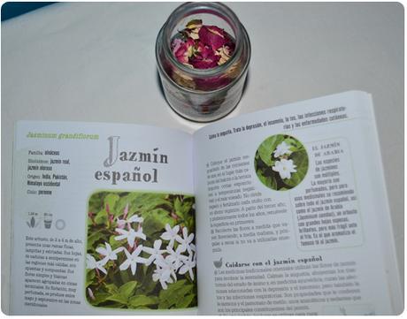 Foto-reseña Plantas medicinales en mi balcón