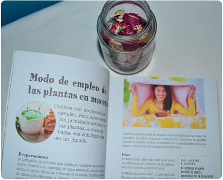 Foto-reseña Plantas medicinales en mi balcón