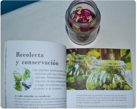 Foto-reseña Plantas medicinales en mi balcón