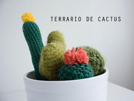 CACTUS DE GANCHILLO TERRARIO