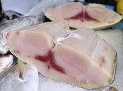 peces probióticos, solución llegada desde Italia