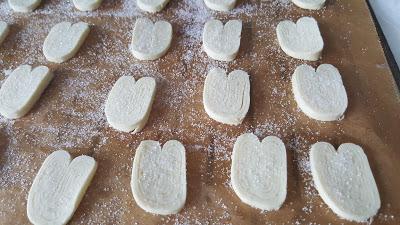 PALMERITAS FINÍSIMAS