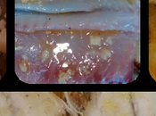 Dorada patatas horno