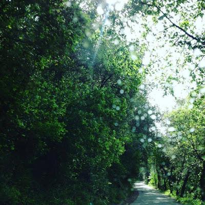 Capacidad de elección