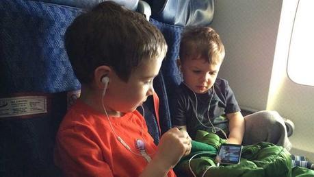 imovilizate06112015b