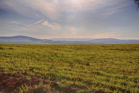 Paisaje del Campo de Montiel. Autor, Fran J de Lamo S