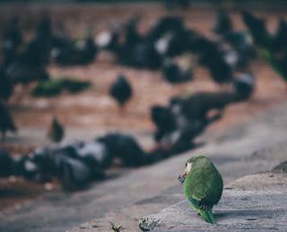 Gustavo Adolfo Becquer en Relatos de Sábado