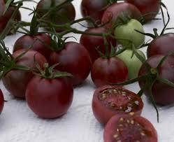 Tomates transgénicos para prevenir enfermedades