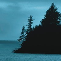 Sexta prueba del concurso gatuno: Prueba Umbreon