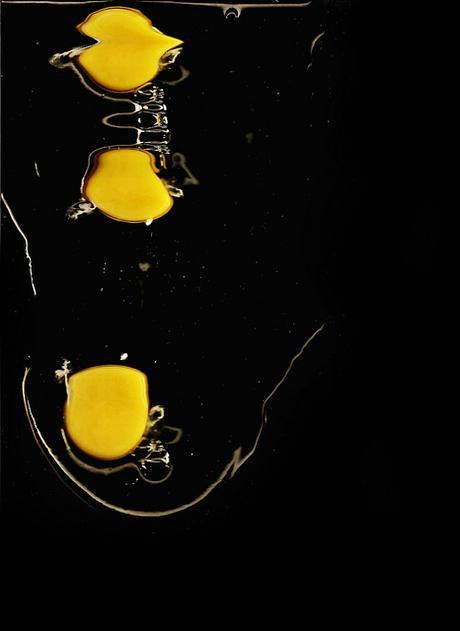 tumblr_n3bqpb2NC91tqlkmqo1_500