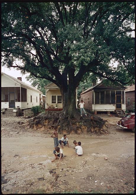 Descubren fotografías perdidas por décadas del ensayo fotográfico de Gordon Parks 