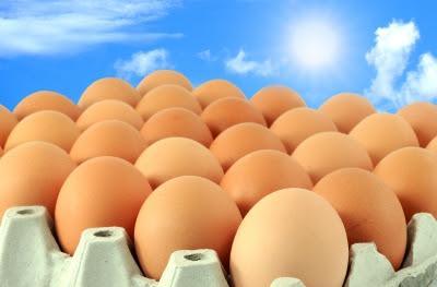 la-importancia-de-las-grasas-en-la-alimentacion