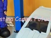 Fofucho mecänico coche