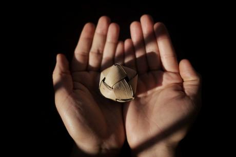 20151108102745_IMG_2781-01