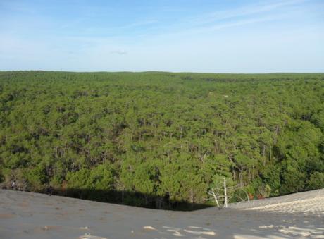 ARCACHON