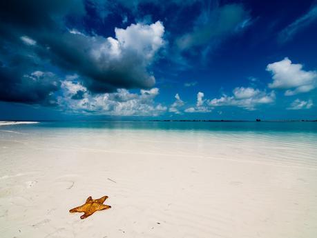 La vuelta a Cuba en 7 Cayos Cayo Largo del Sur