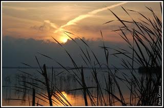 YO QUISIERA SER LA BRISA...