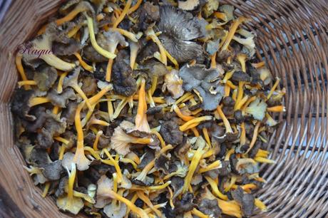 Tortilla de Camagrocs con Jamón y Cebolla