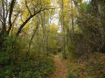 Hoces del Duratón y Ermita San Frutos