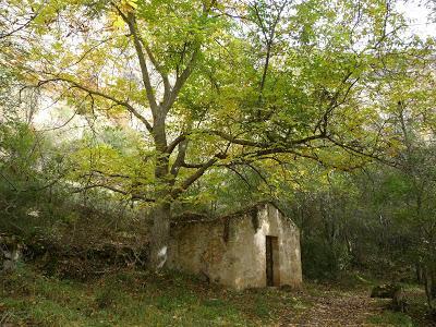 Hoces del Duratón y Ermita San Frutos