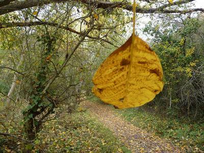 Hoces del Duratón y Ermita San Frutos