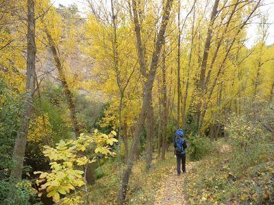 Hoces del Duratón y Ermita San Frutos
