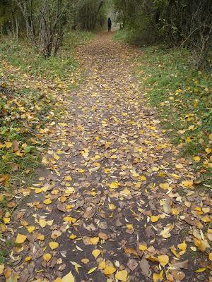 Hoces del Duratón y Ermita San Frutos