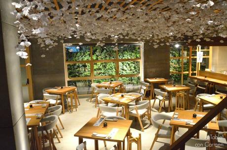 Nozomi, la Ilusión de un Sueño Cumplido